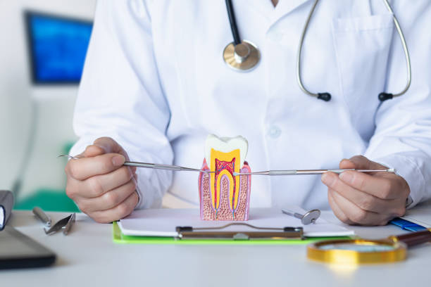 Best Emergency Dental Care for Broken or Chipped Teeth in Pacolet, SC